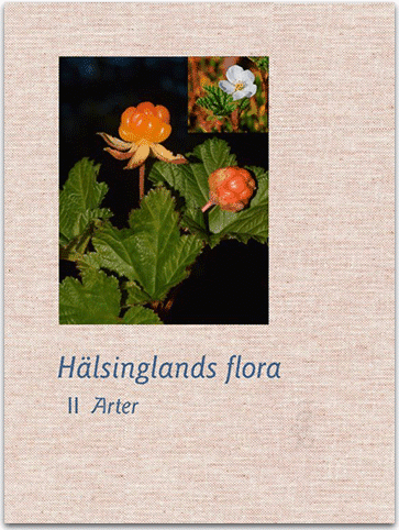 Hälsinglands flora