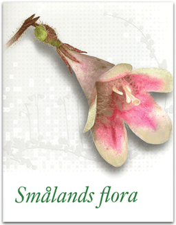 Smålands flora
